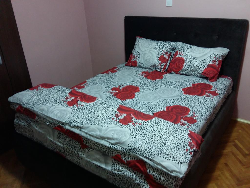 Apartment Radovan Rijeka Crnojevića 外观 照片